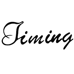 TIMING logo