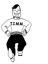 T.I.M.M. logo