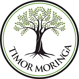 TIMOR MORINGA logo