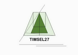 TIMSEL27 logo