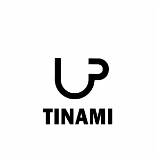 TINAMI logo