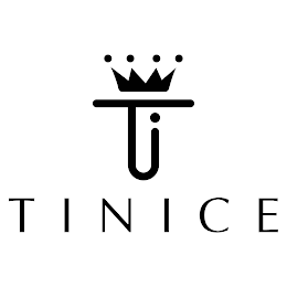 TINICE logo