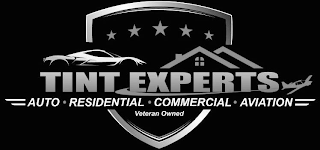TINT EXPERTS AUTO · RESIDENTIAL · COMMERCIAL · AVIATION VETERAN OWNED logo