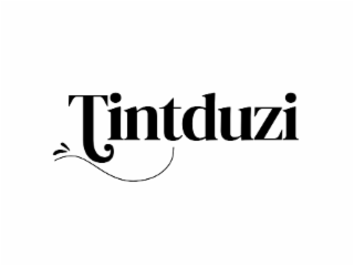 TINTDUZI logo