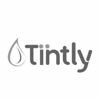 TINTLY logo