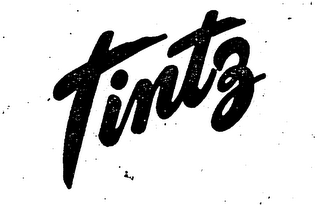 TINTZ logo