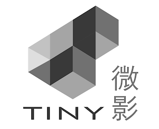 TINY logo