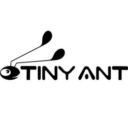 TINY ANT logo