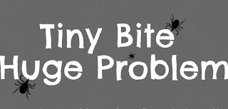 TINY BITE HUGE PROBLEM logo