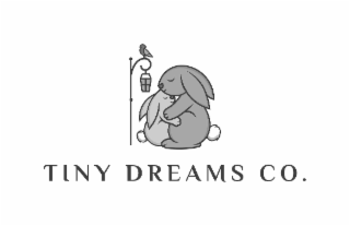 TINY DREAMS CO. logo