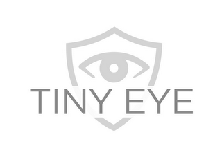 TINY EYE logo