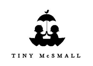 TINY MCSMALL logo