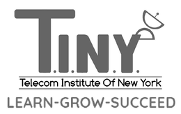 T.I.N.Y. TELECOM INSTITUTE OF NEW YORK LEARN-GROW-SUCCEED logo