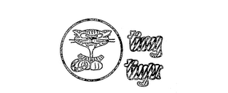 TINY TIGER logo