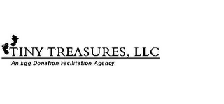 TINY TREASURES, LLC AN EGG DONATION FACILITATION AGENCY logo