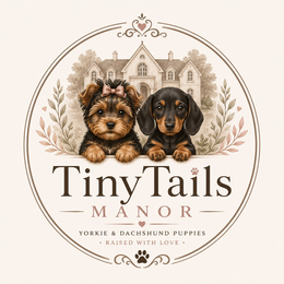 TINYTAILS MANOR YORKIE & DACHSHUND PUPPIES · RAISED WITH LOVE · logo