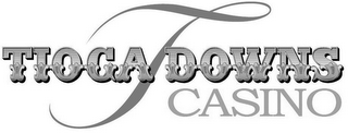 TIOGA DOWNS CASINO logo