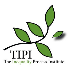 TIPI THE INEQUALITY PROCESS INSTITUTE logo