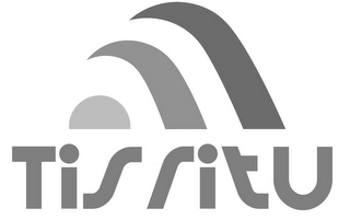TISRITU logo