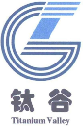 TITANIUM VALLEY logo