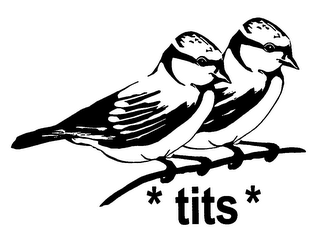 TITS logo