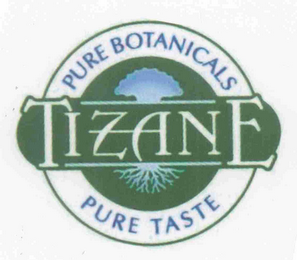 TIZANE PURE BOTANICALS PURE TASTE logo
