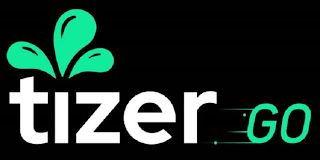 TIZER GO logo