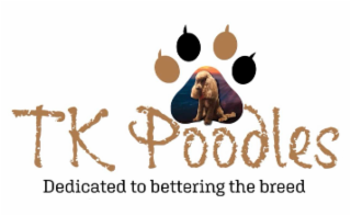 TK POODLES DEDICATED TO BETTERING THE BREED logo