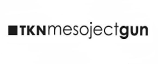 TKNMESOJECTGUN logo