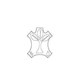 TLF logo
