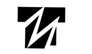 TM logo