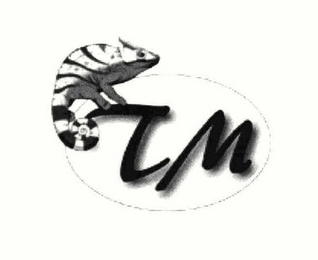 TM logo