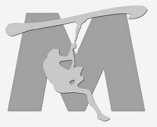 TM logo