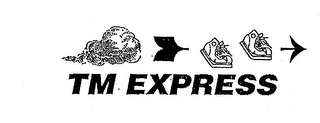 TM EXPRESS logo