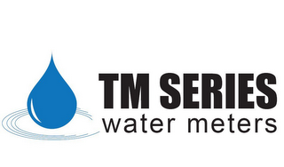 TM SERIES WATER METERS logo
