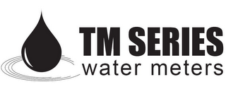 TM SERIES WATER METERS logo