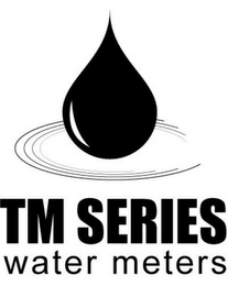 TM SERIES WATER METERS logo