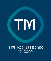 TM TM SOLUTIONS 101 CORP logo