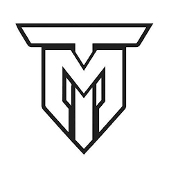 TM1 logo