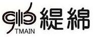 TMAIN logo