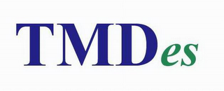 TMDES logo