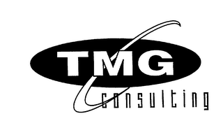 TMG CONSULTING logo