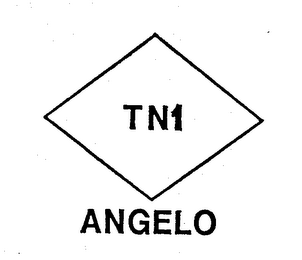 TN 1 ANGELO logo