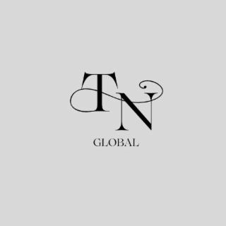 TN GLOBAL logo