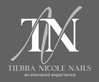 TN TIERRA NICOLE NAILS AN ELEVATED EXPERIENCE logo