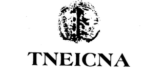 TNEICNA logo
