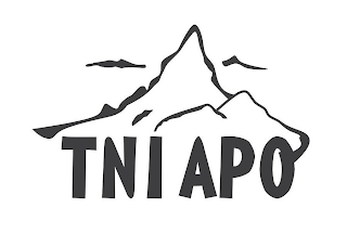 TNIAPO logo