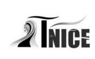 TNICE logo