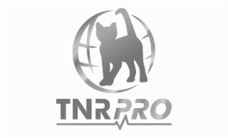 TNRPRO logo