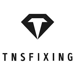 TNSFIXING logo